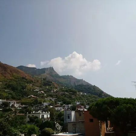 La Coccinella *